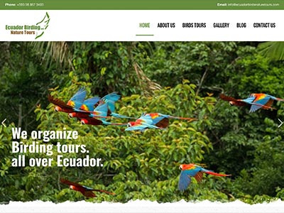 Ecuador Birds Nature Tours