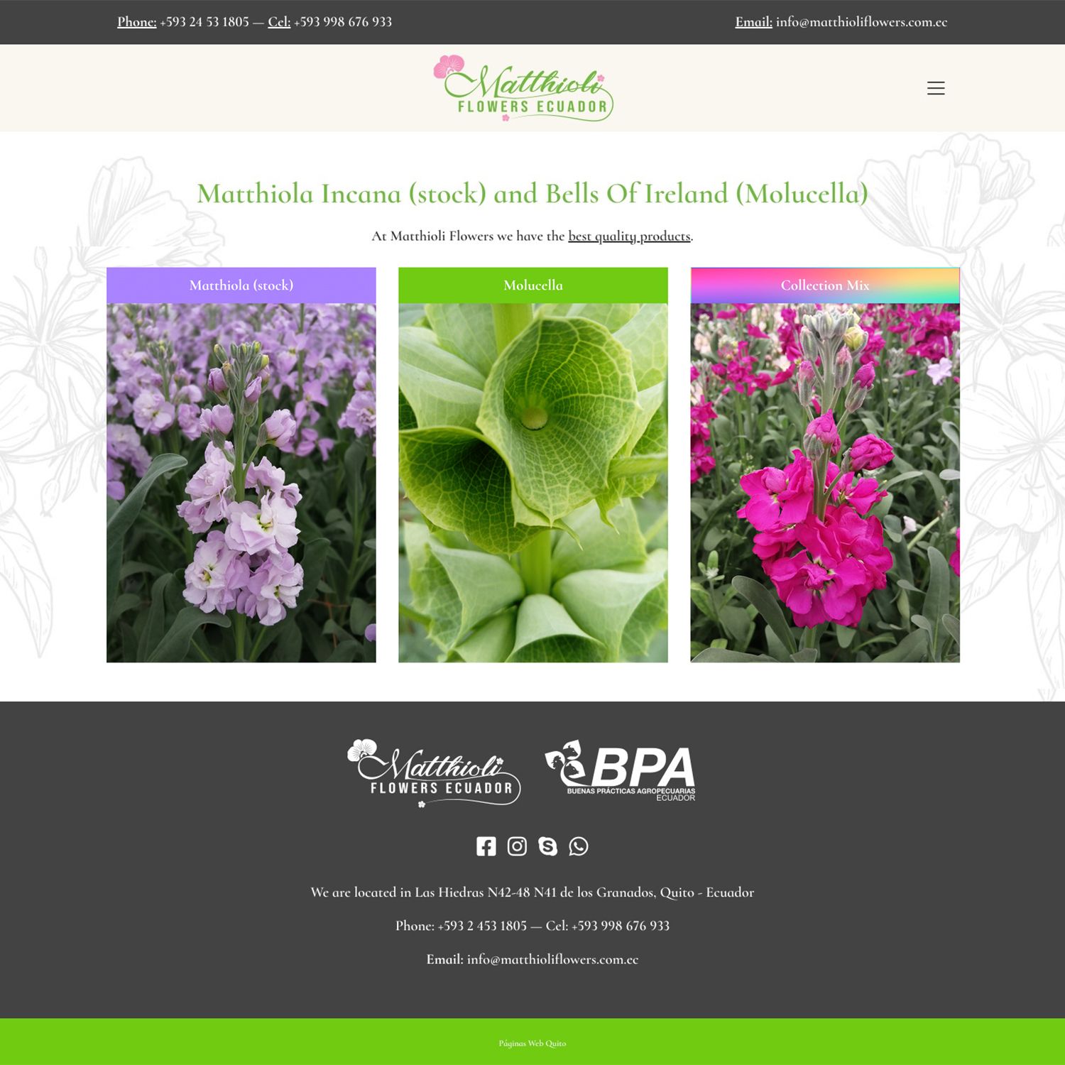 Diseño páginas web venta de flores